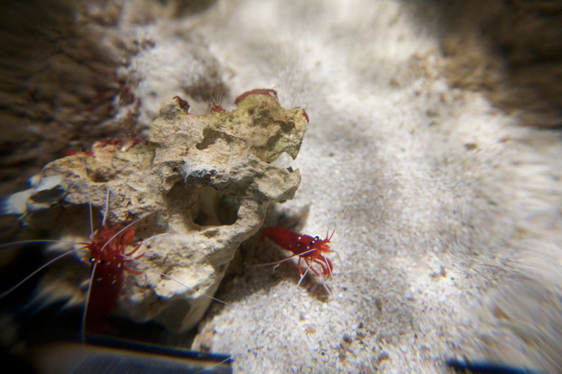 Aquarium