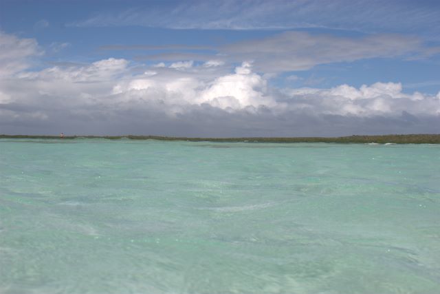 Dominicana