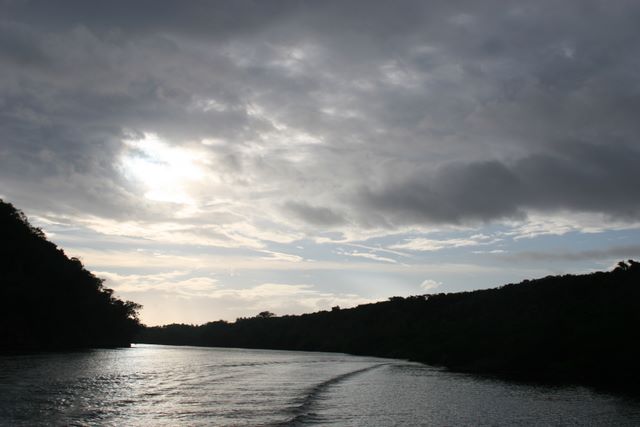 Dominicana