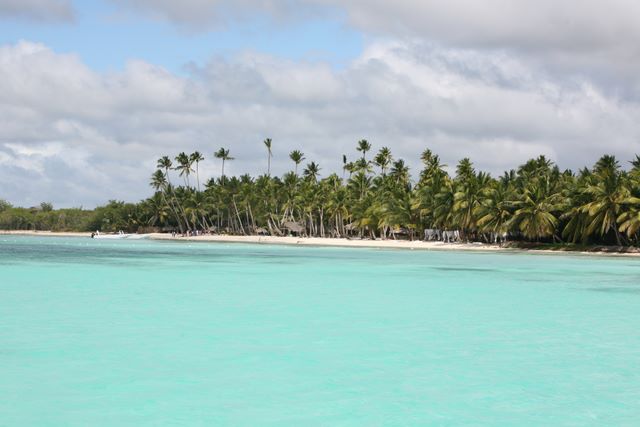 Dominicana