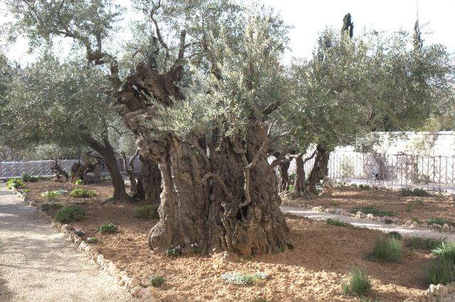 Israel