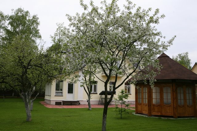 сад
