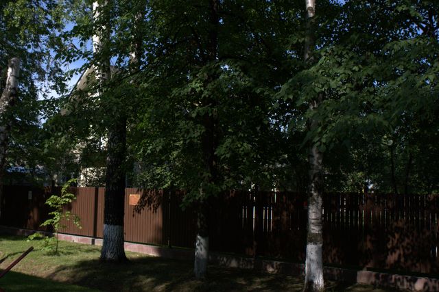 Зелень