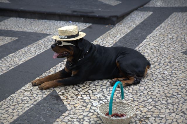 Portugal